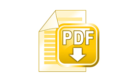 PDF Dosyası